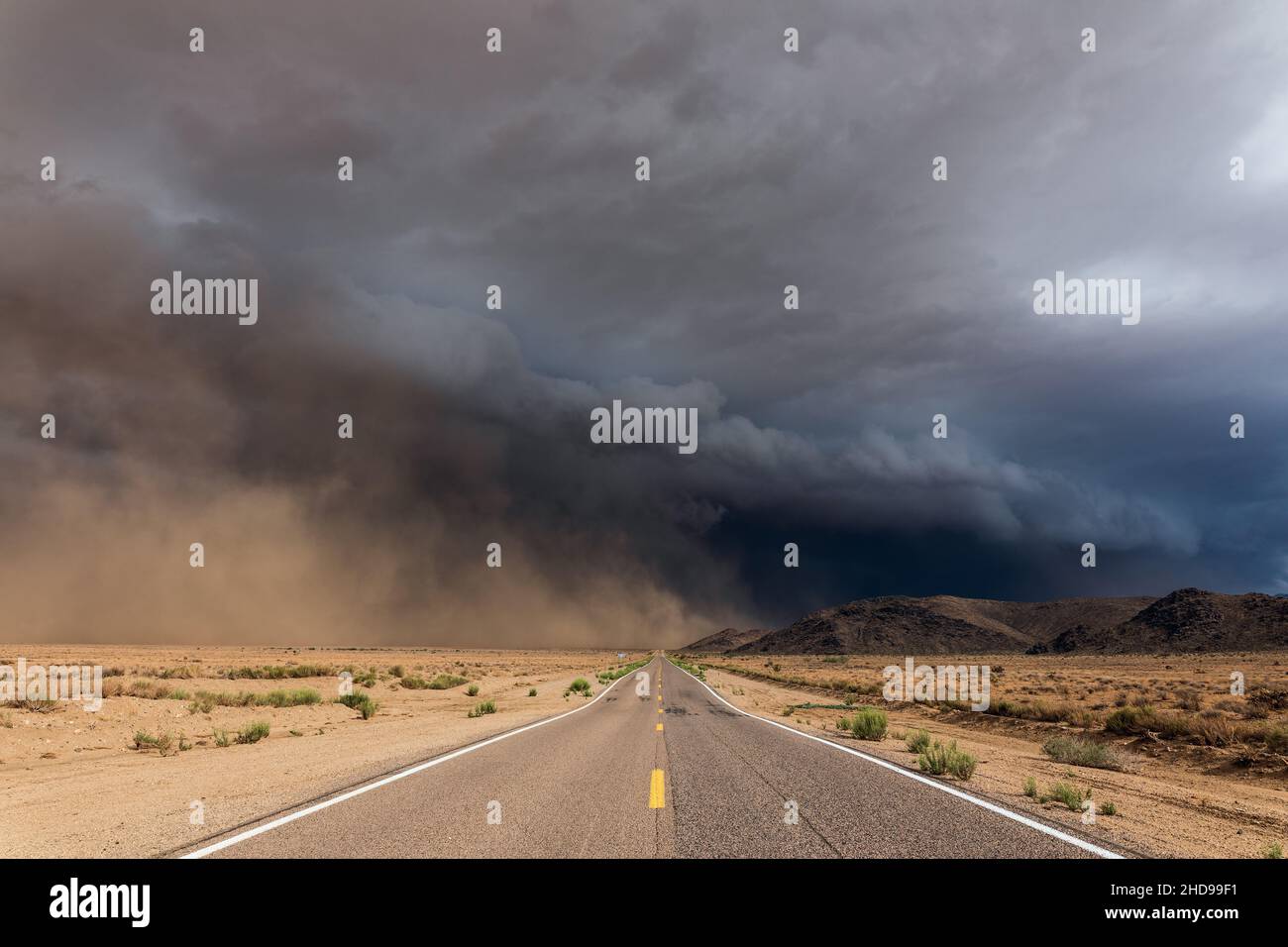 Tempête de poussière (Haboob) sur une route dans le désert pendant la saison de mousson près de Kingman, Arizona, États-Unis Banque D'Images