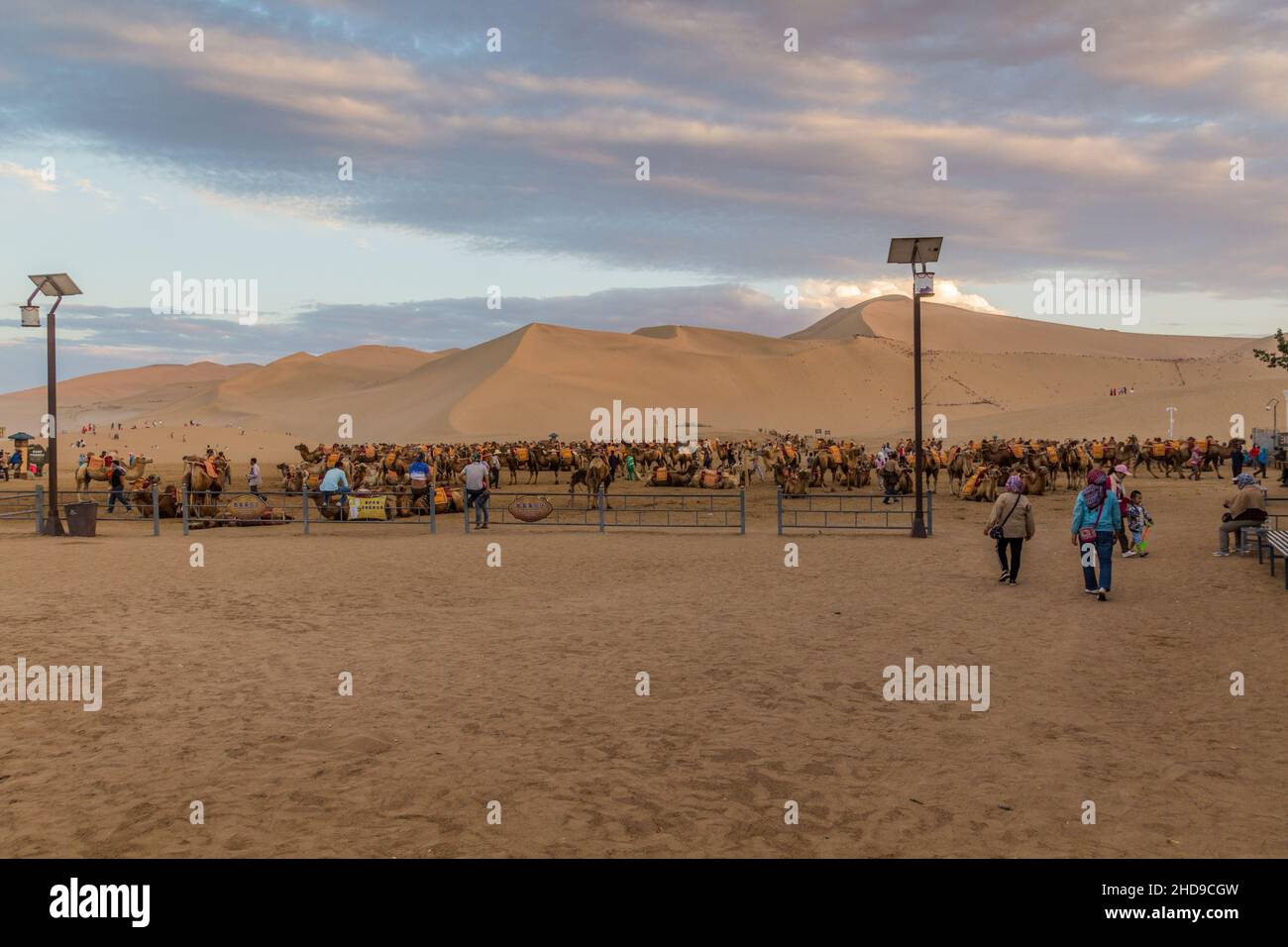 DUNHUANG, CHINE - 20 AOÛT 2018 : chameaux pour les touristes au chant Sands Dune près de Dunhuang, province de Gansu, Chine Banque D'Images