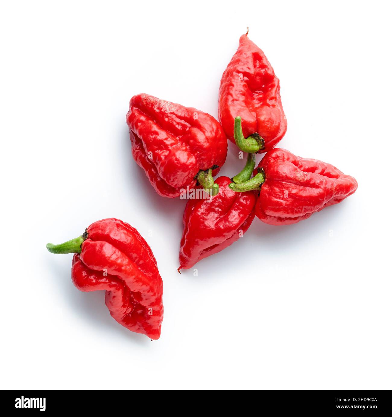 poivrons rouges chauds isolés sur fond blanc, vue de dessus Banque D'Images