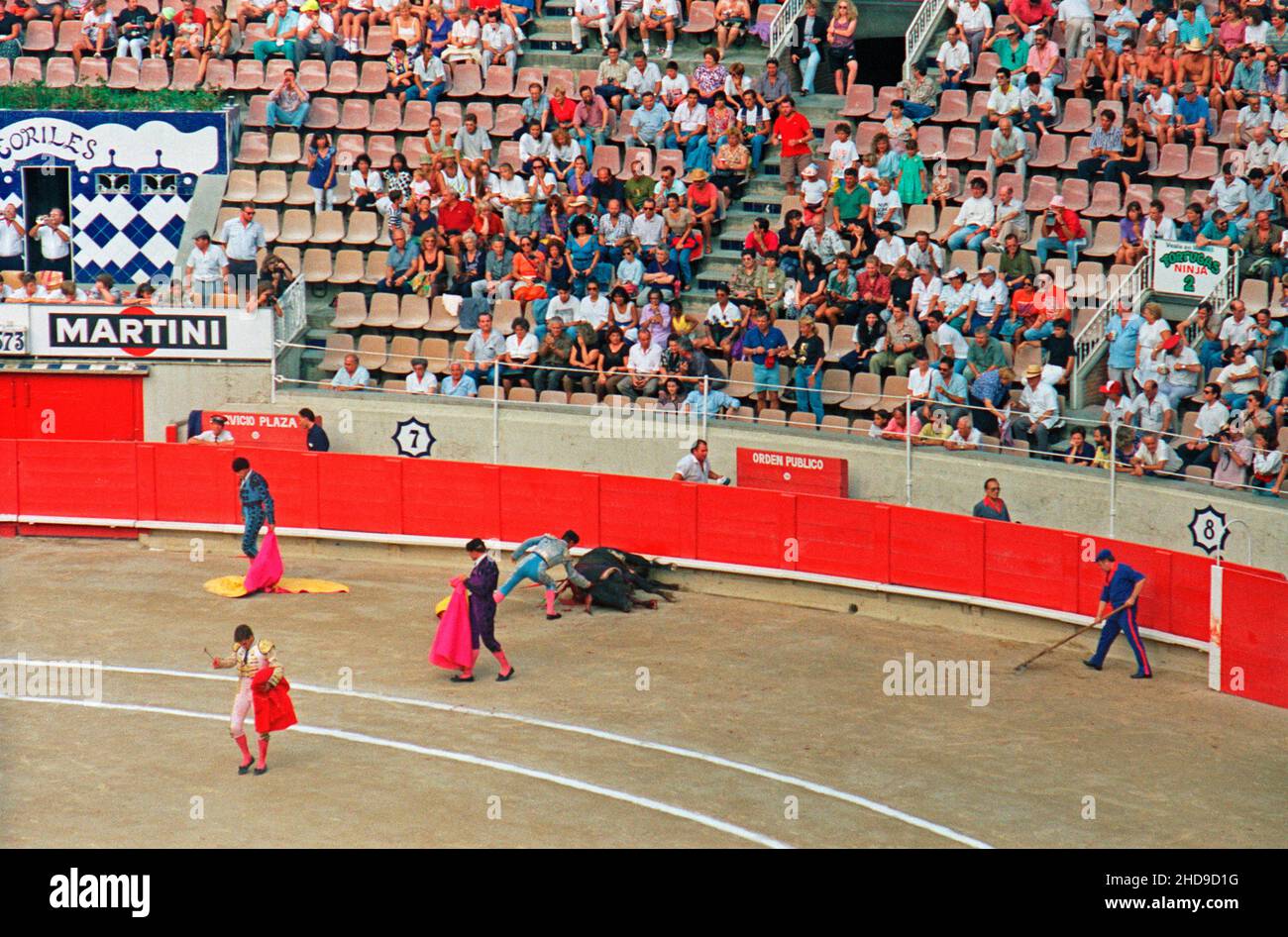 Banderillero poignant le taureau à mort avec un poignard, corrida, Plaza de Toros Monumental, 01 septembre 1991, Barcelone, Espagne Banque D'Images