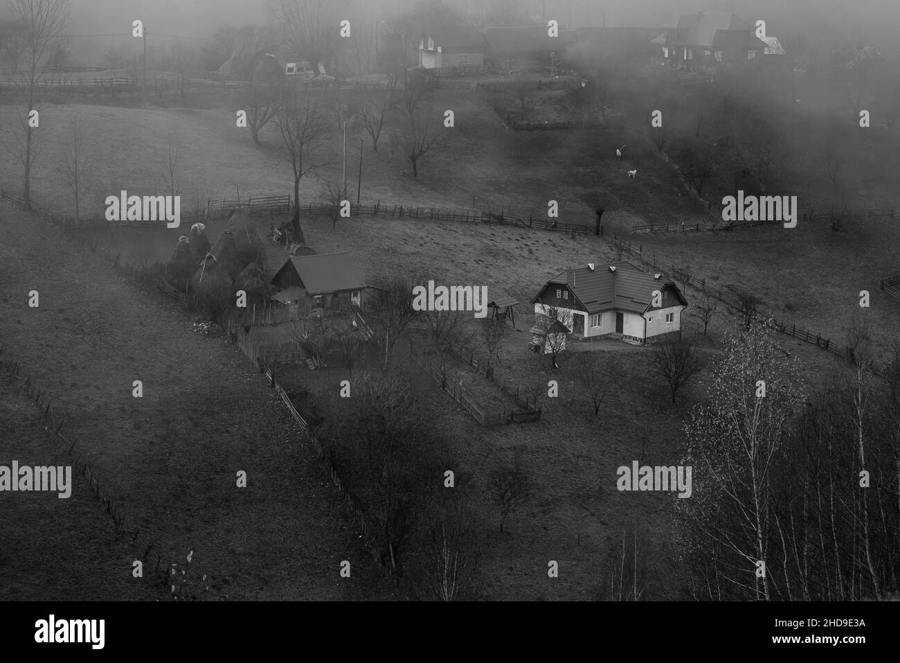 Belle vue d'une maison sur la colline avec des arbres secs dans le brouillard Banque D'Images