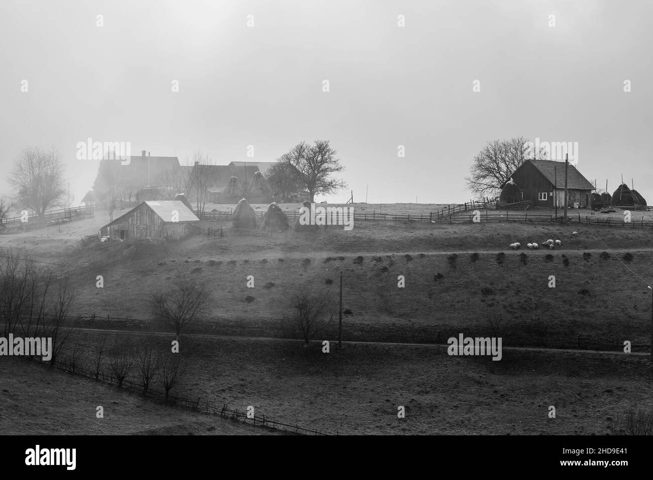 Belle vue d'une maison sur la colline avec des arbres secs dans le brouillard Banque D'Images
