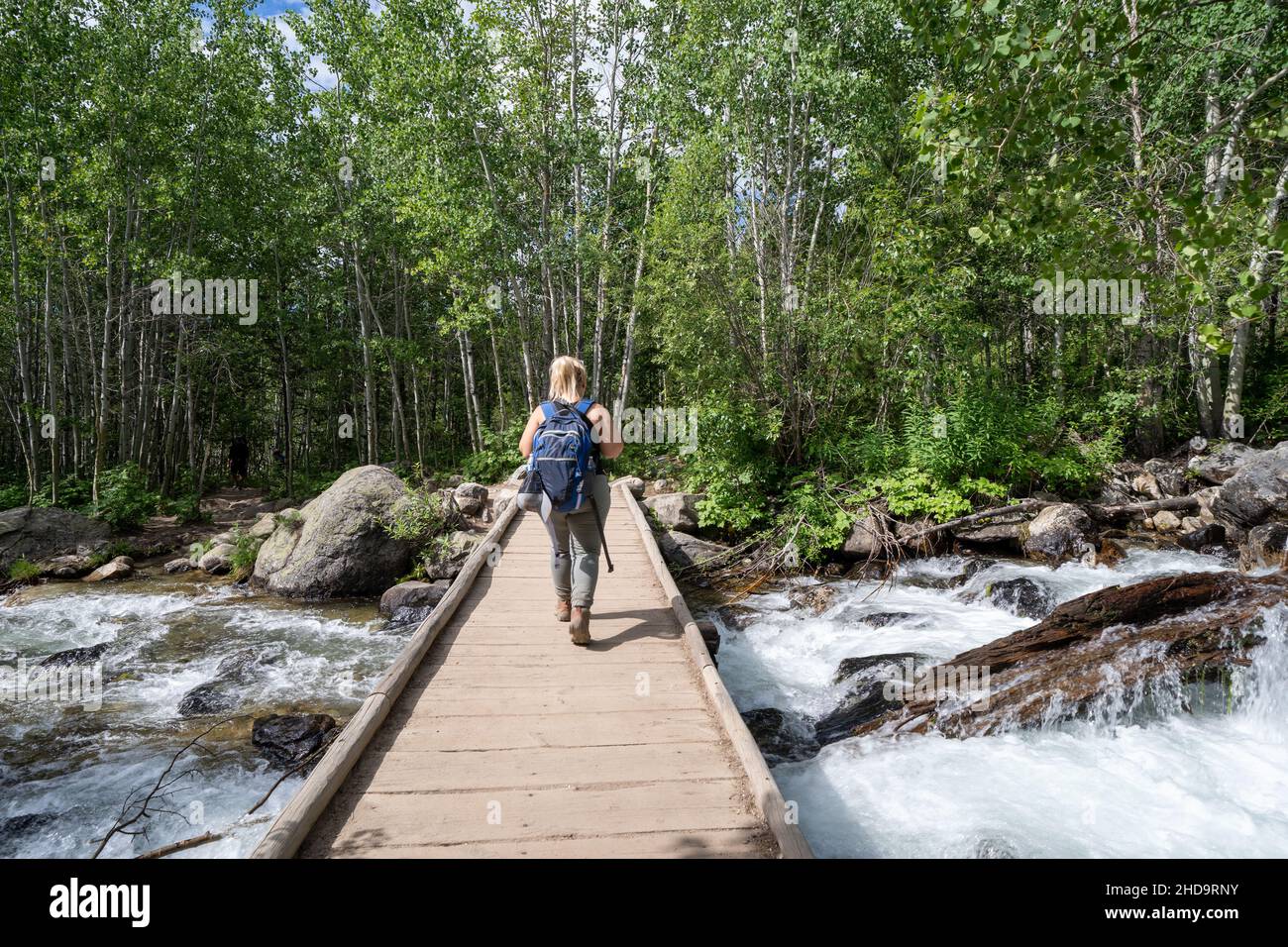 Une randonneur blonde traverse le pont longeant la crique le long de la randonnée du lac Bradley dans le parc national de Grand Teton Banque D'Images