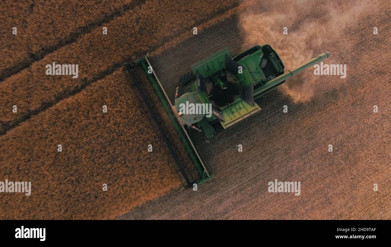 Moissonneuse-batteuse, travaillant sur un champ de blé Banque D'Images