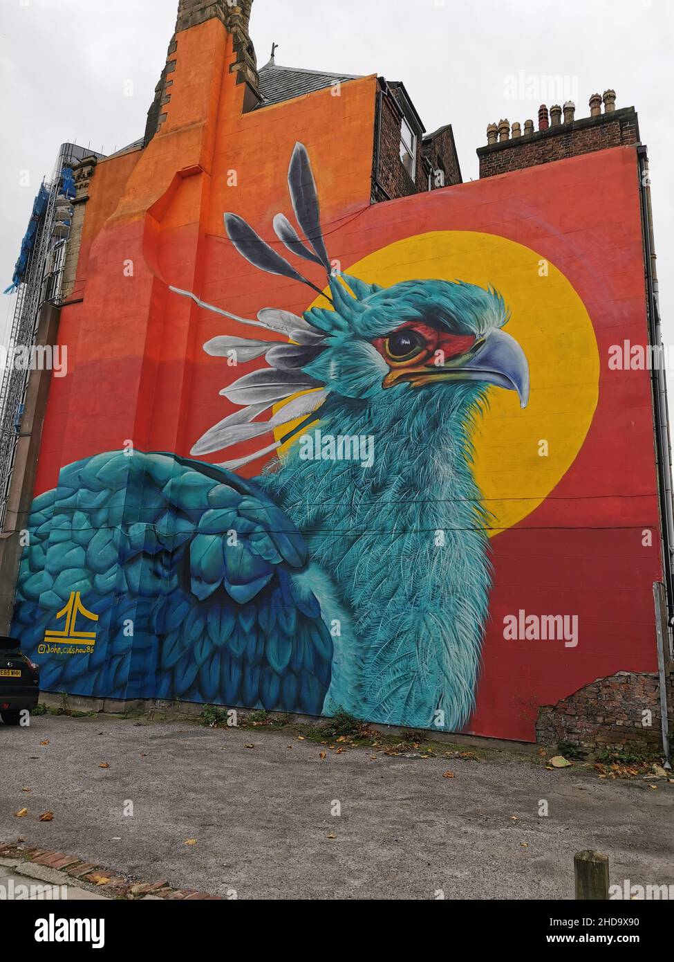 Beau graffiti d'un oiseau de foie sur un bâtiment à Liverpool, au Royaume-Uni Banque D'Images
