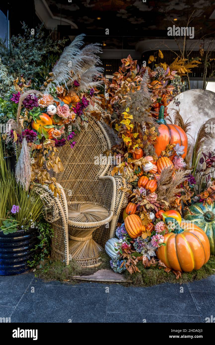 Dublin, Irlande - septembre 25 2021 « Halloween decoration at the Ivy Dublin restaurant » Banque D'Images