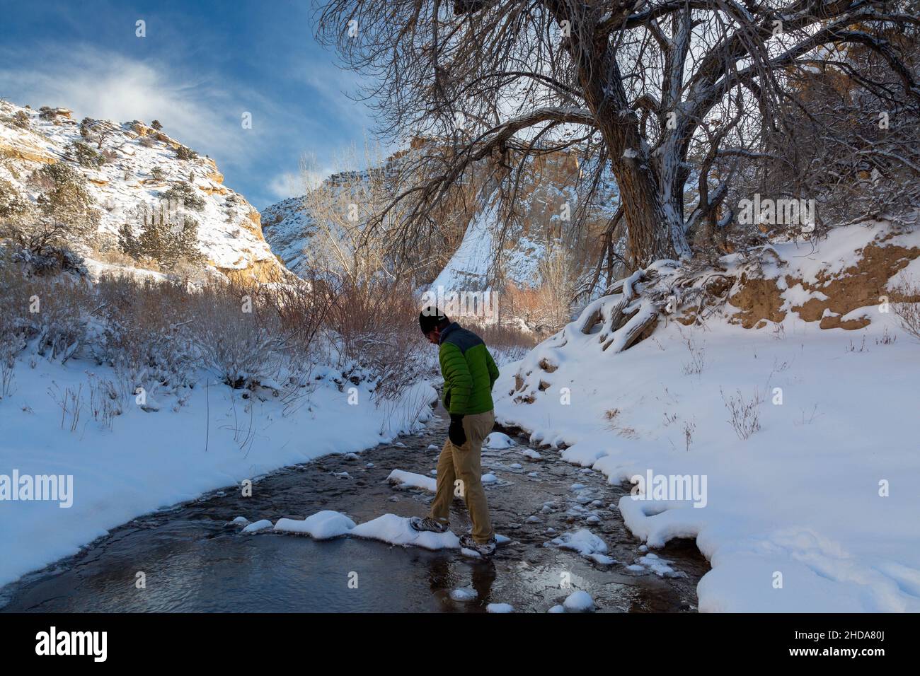 Un randonneur mâle testant un pied potentiel dans la rivière Escalante après que le paysage ait été blanchi dans la neige.Grand escalier-Escalante National Monumen Banque D'Images