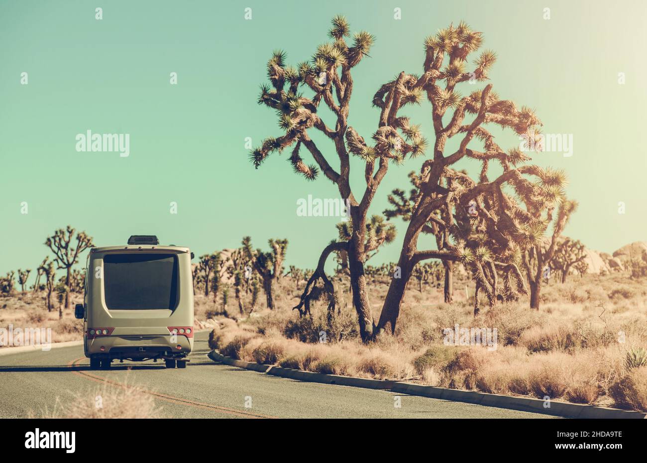 Touristes voyageant dans leur véhicule récréatif de classe C à travers le parc national pittoresque de Joshua Tree en Californie du Sud.Thème fourgonnette camping-car Van Life. Banque D'Images