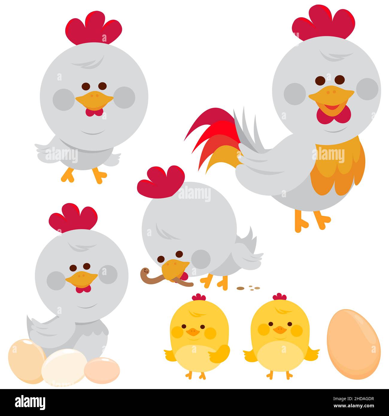 Volailles à la ferme, coq et poussins. Poulet domestique mignon et poules mères avec de petits poussins et des œufs. Poussins de dessin animé et oiseau de coq. Banque D'Images