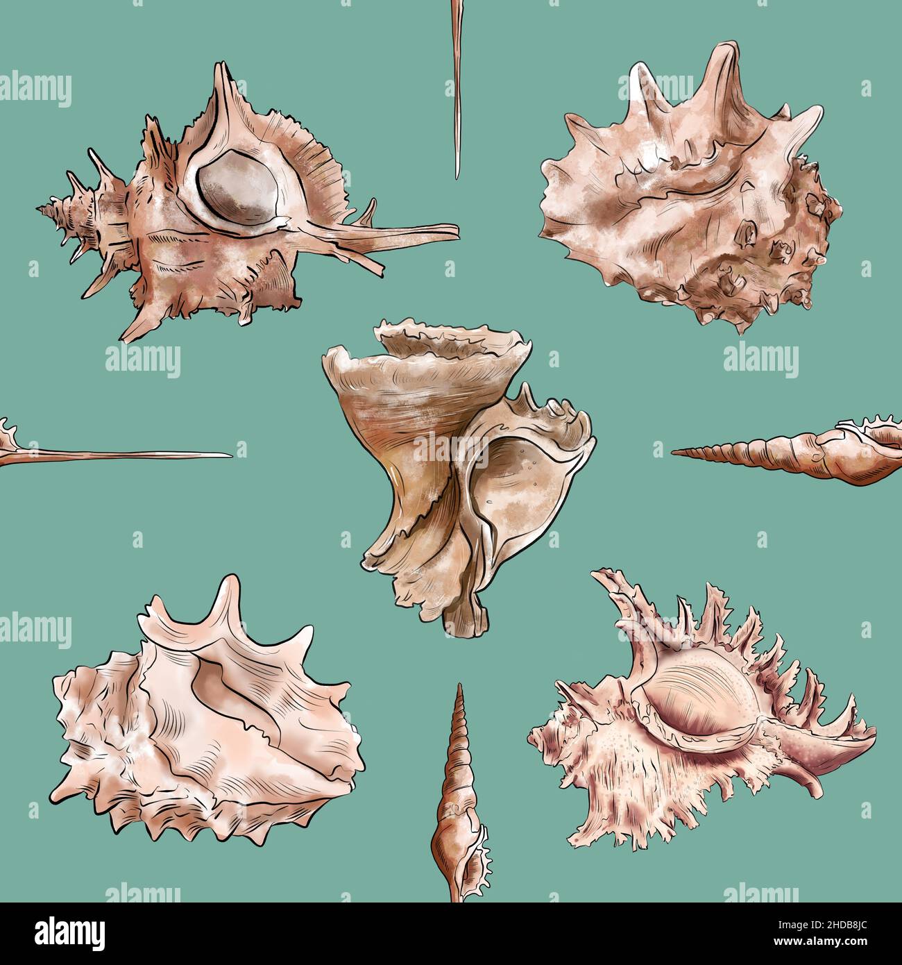 Aquarelle illustration numérique motif fluide de coquillages de la vie marine brune sur fond. Illustration de haute qualité Banque D'Images