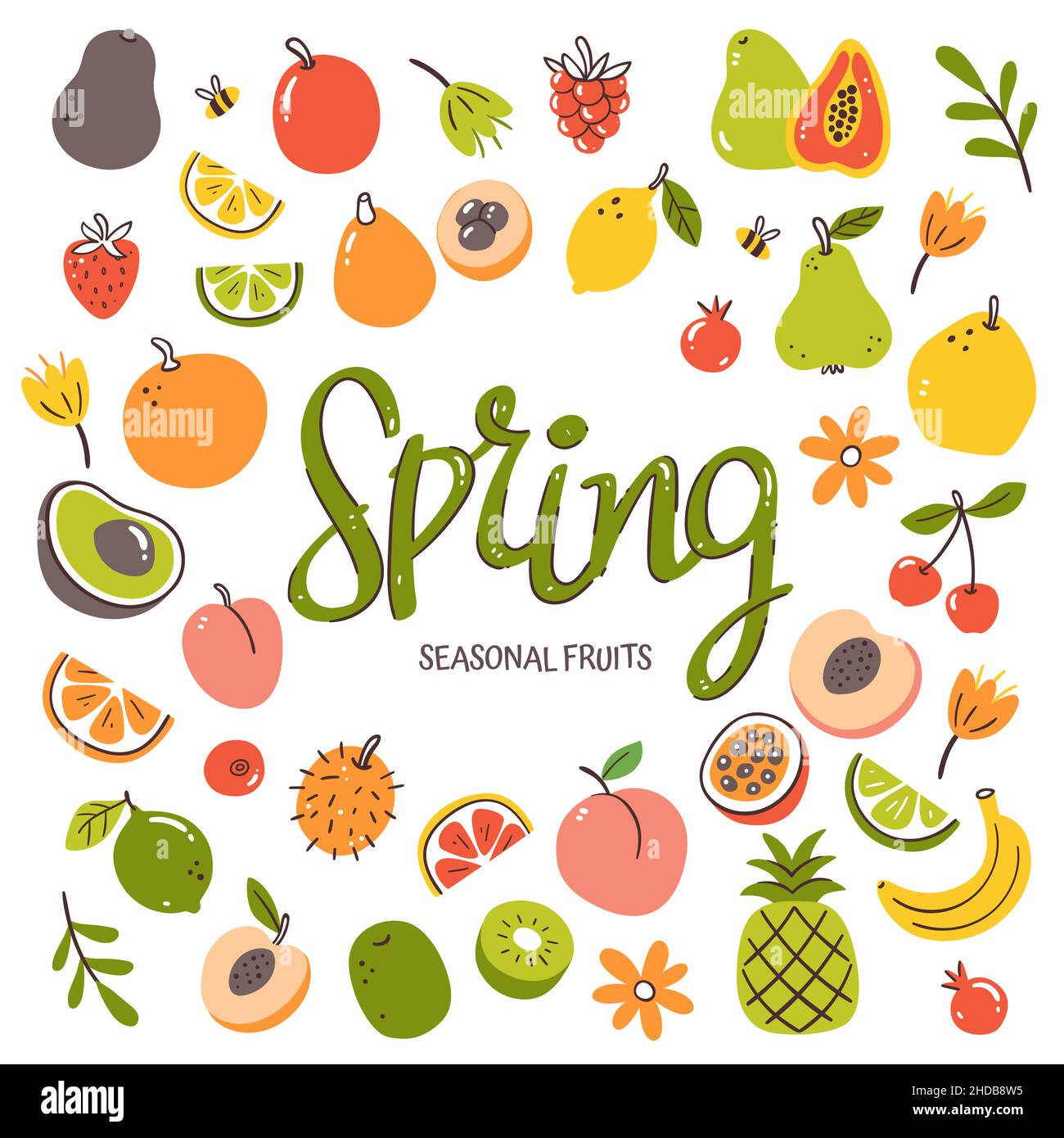 Fond de fruits de saison.Composition de fruits de printemps composée d'icônes vectorielles colorées dessinées à la main, isolées sur fond blanc. Illustration de Vecteur