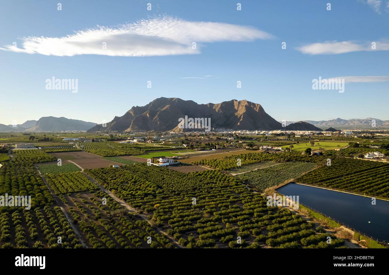 Plan aérien de la ville et des terres agricoles de Callosa de Segura.Drone point de vue village espagnol situé dans les contreforts de l'énorme Sierra de Callosa montagne rocheuse.N Banque D'Images