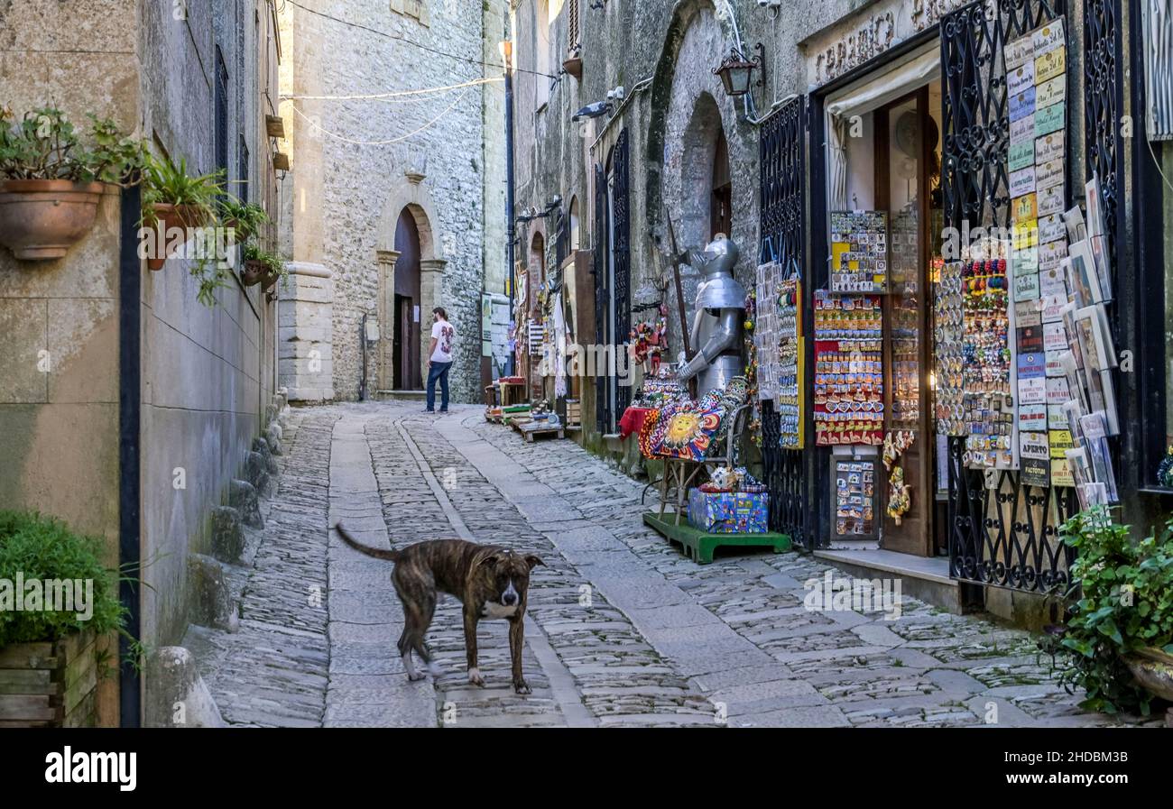 Sätzenhund, Gasse, Altstadt, Erice, Sizilien,Italien Banque D'Images