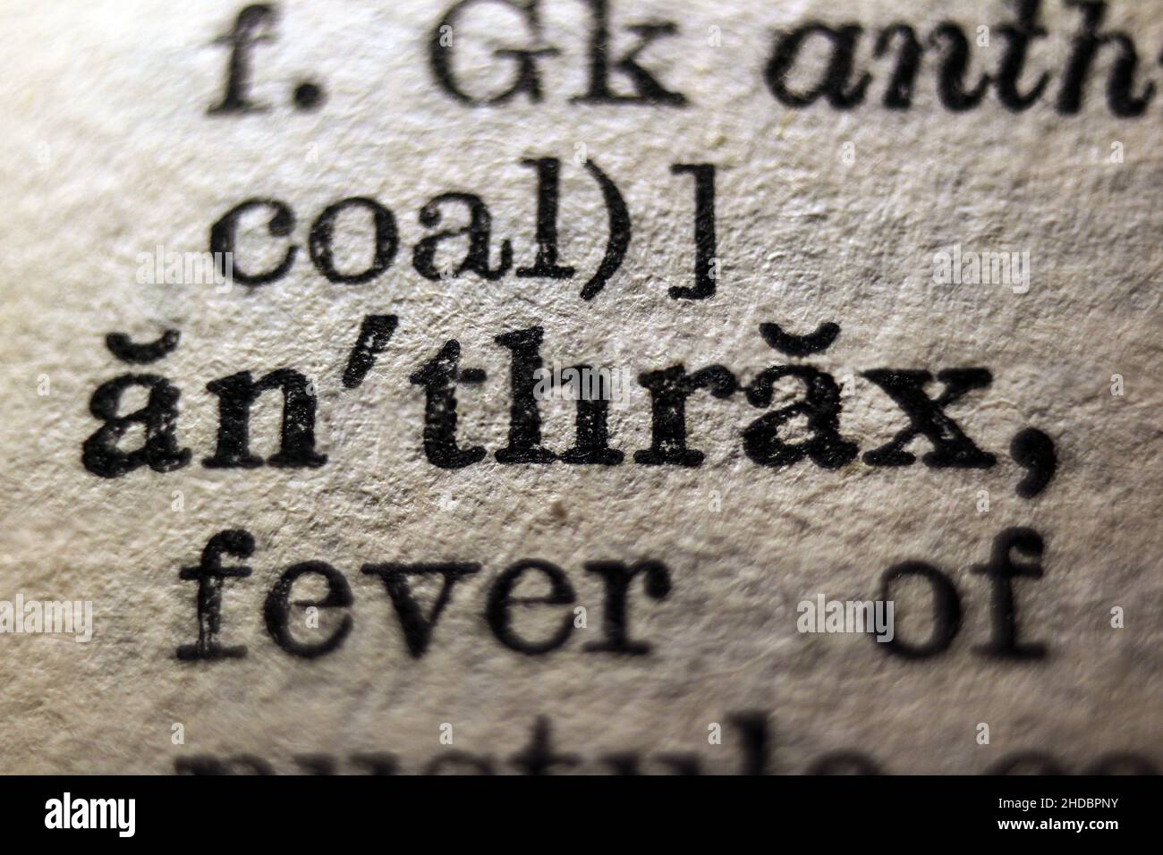 Mot « anthrax » imprimé sur la page du dictionnaire, macro gros plan Banque D'Images