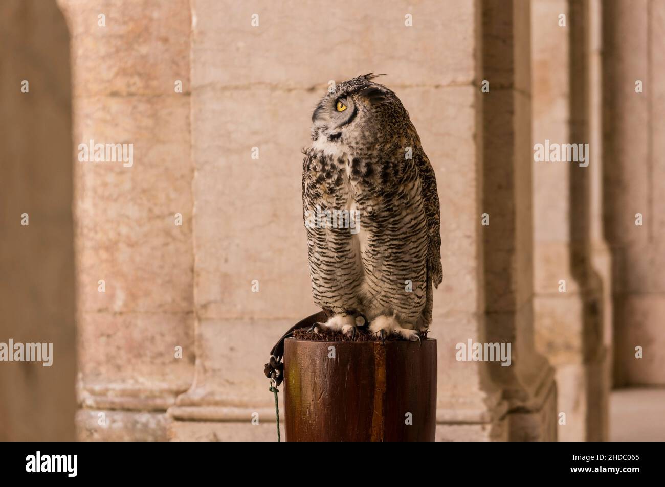 Ist eine Kleinstadt Mafra au Portugal, 40 km nordwestlich von Lissabon. Banque D'Images