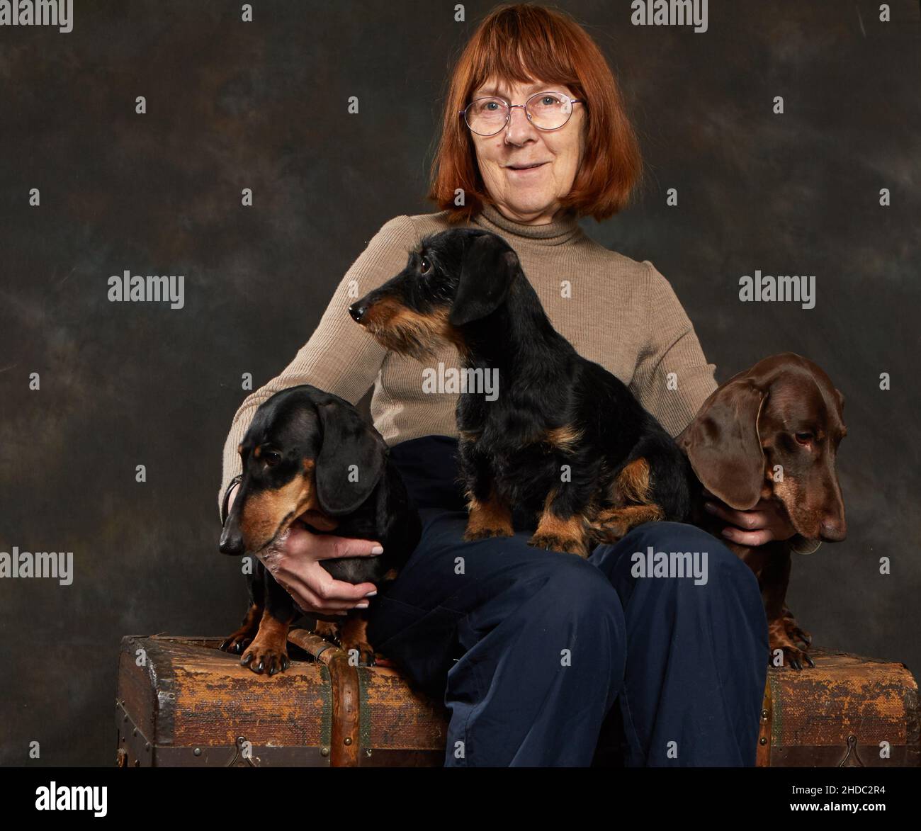 Trois dachshunds de différents types s'assoient sur les genoux de leur maîtresse Banque D'Images