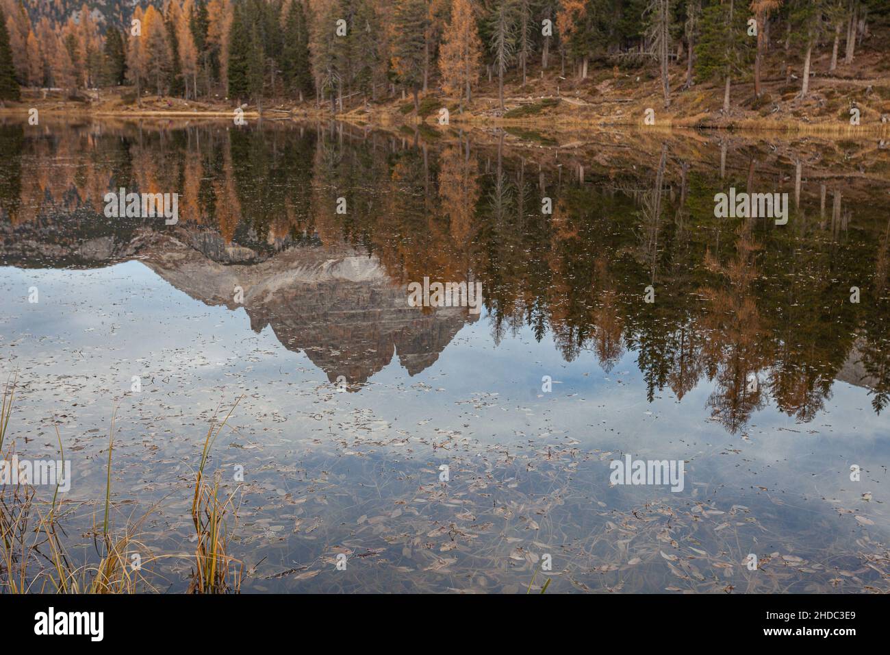 Réflexion de la crête dolomitique et des larches de couleur automnale sur le lac Banque D'Images