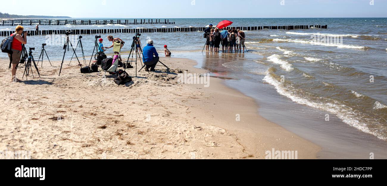 Atelier photo pour photographes amateurs sur la plage de la Mer Baltique, Zingst, Mecklembourg-Poméranie occidentale, Allemagne, Europe Banque D'Images