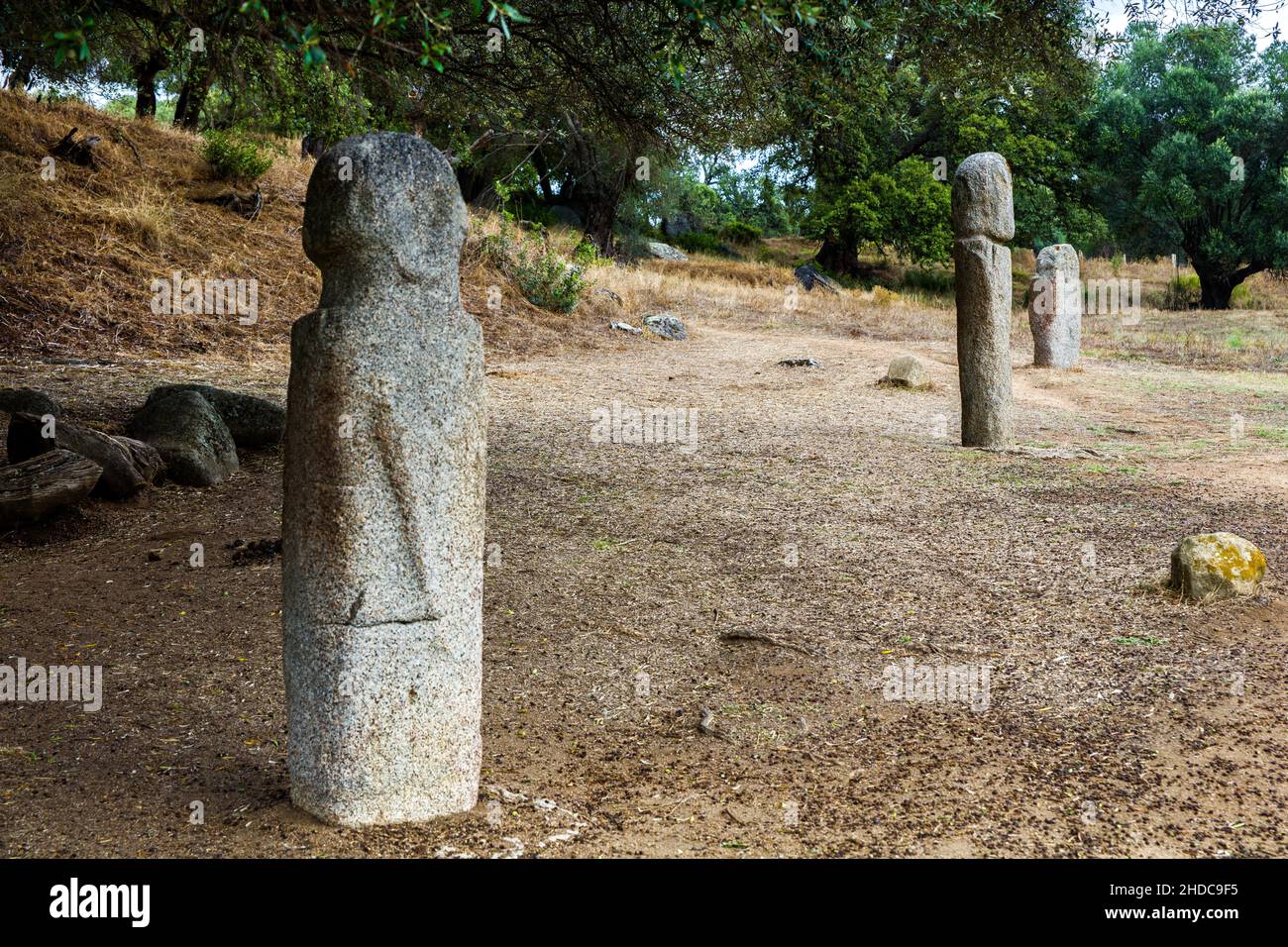 Statues de menhirs dans la plaine en face d'un olivier de 1200 ans, site archéologique de Filitosa, Corse, Filitosa, Corse,France, Europe Banque D'Images