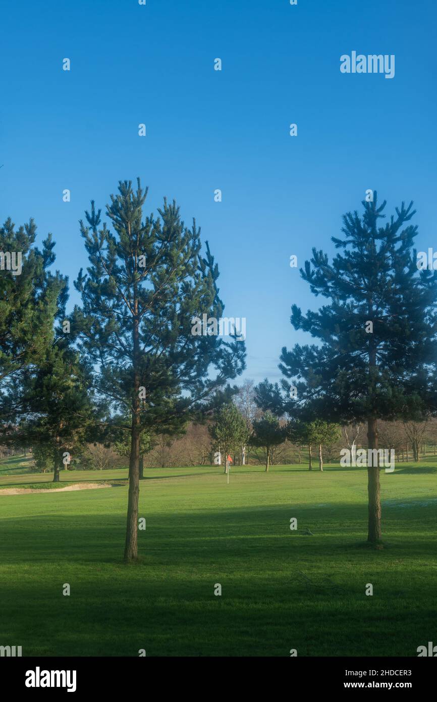 Parcours de golf Black Moor à Allwoodley, Leeds, lors d'une journée ensoleillée dans le ciel bleu avec une pointe de drapeau rouge au centre du parcours. Banque D'Images