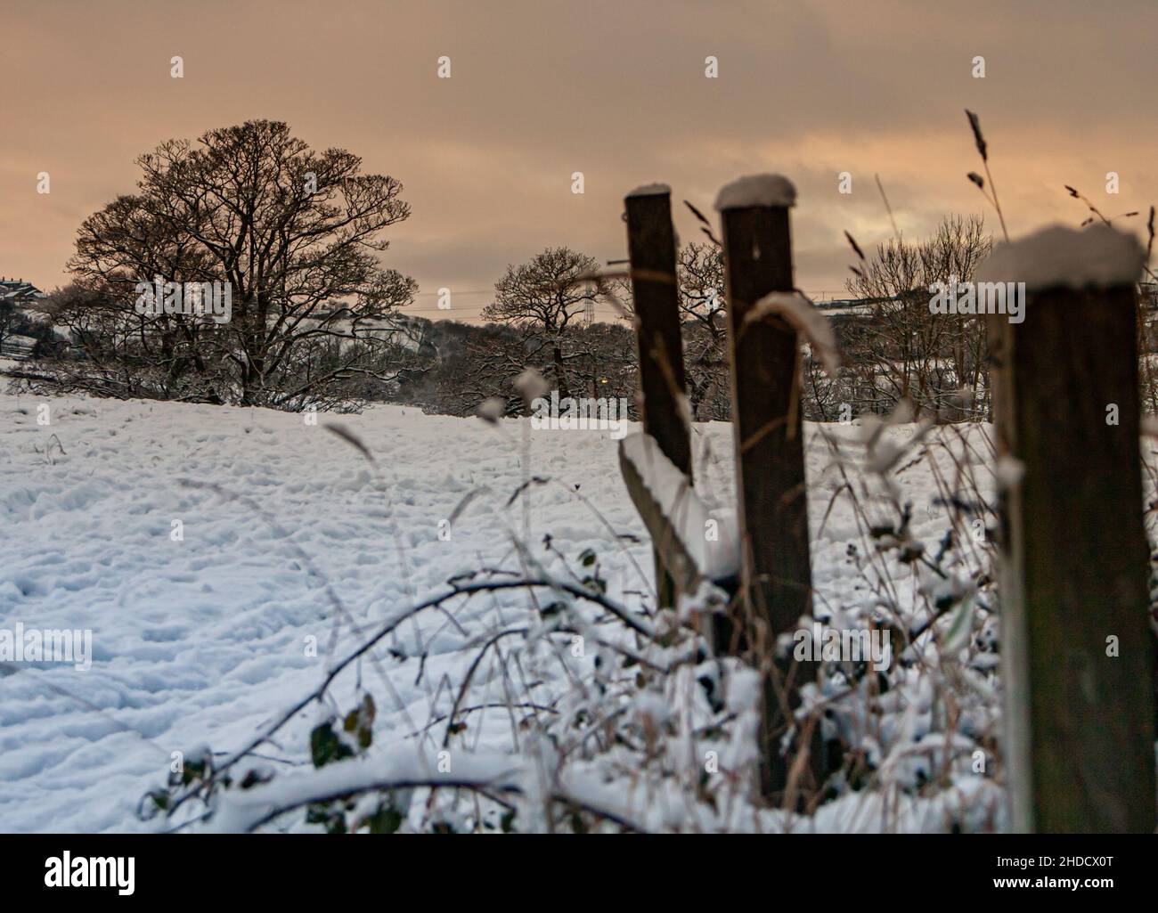 Belle vue sur un parc extérieur couvert de neige en hiver Banque D'Images