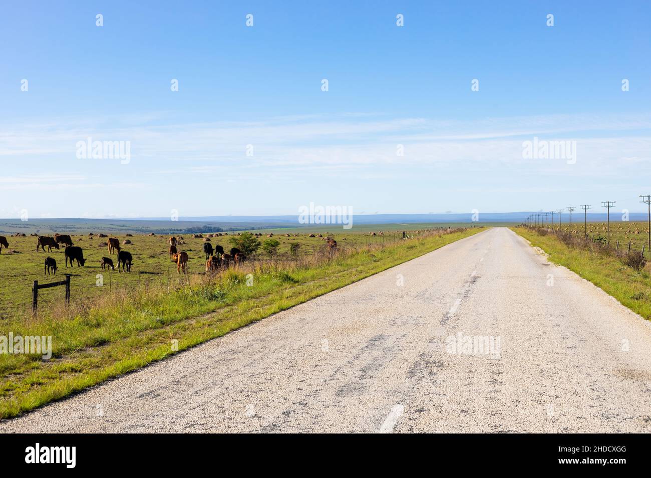 Vue d'un pays vide route autoroute dans la région de terres agricoles de l'Afrique du Sud Banque D'Images