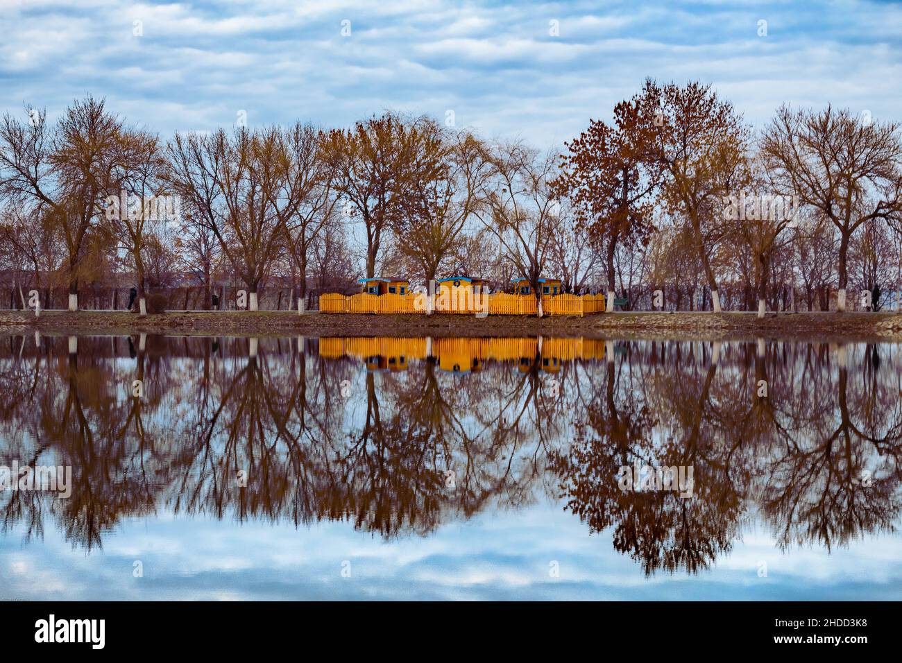 Belle vue sur un lac avec des arbres qui réfléchit dessus Banque D'Images