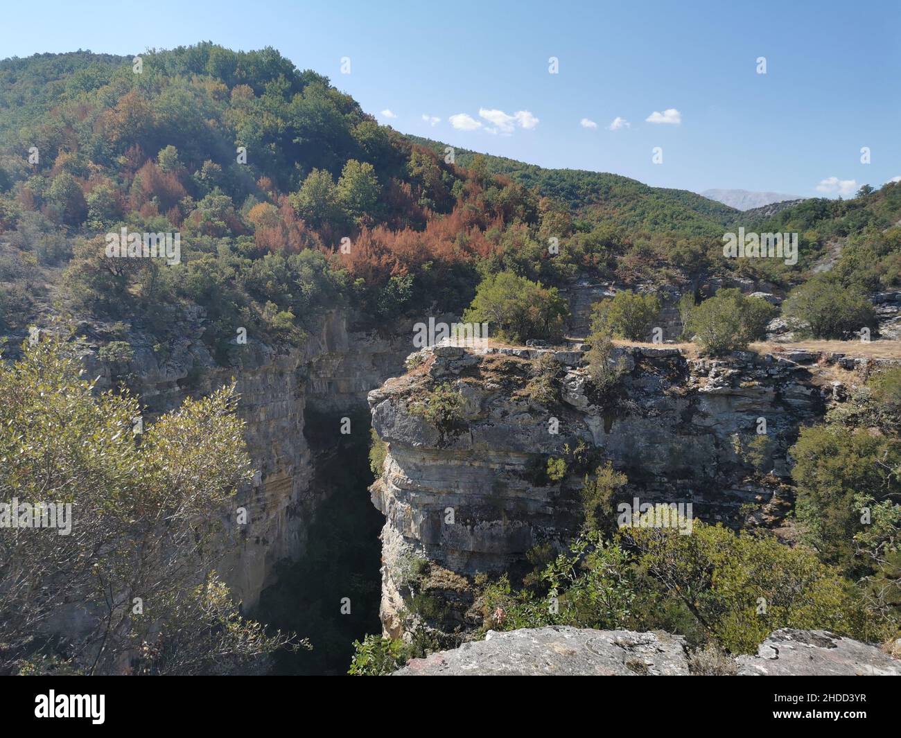 Vue aérienne d'une forêt luxuriante dans une montagne Banque D'Images