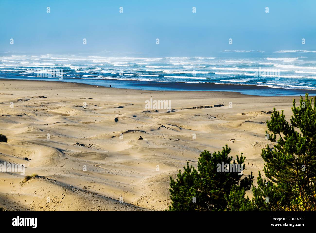 Océan Pacifique ; côte de l'Oregon ; sud de Newport ; Oregon ; États-Unis Banque D'Images