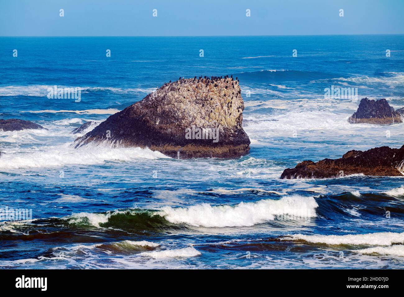 Océan Pacifique ; Cape Perpetua ; côte de l'Oregon ; États-Unis Banque D'Images