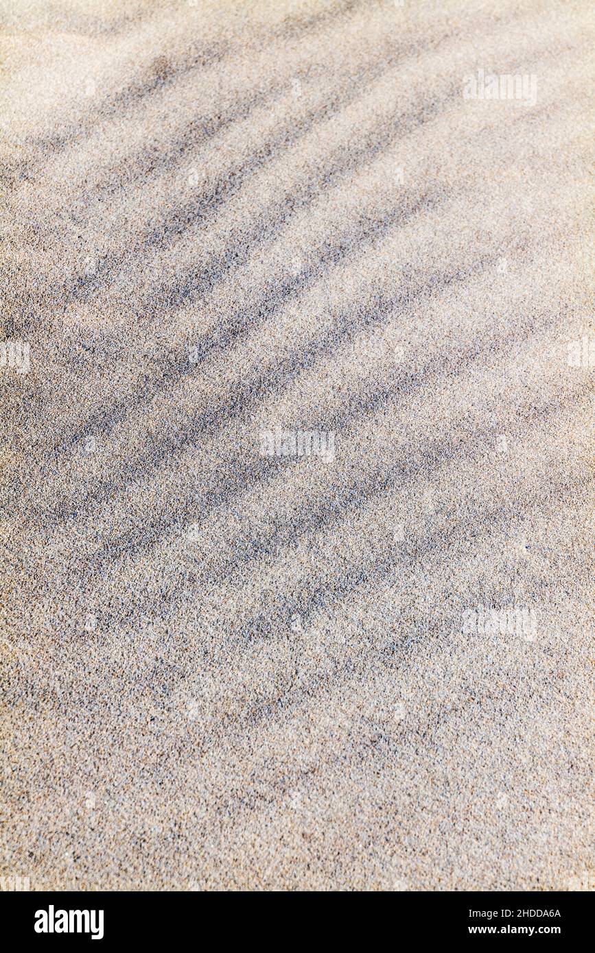 Gros plan des motifs sculptés par le vent dans le sable de la plage; Océan Pacifique; Newport; Oregon; États-Unis Banque D'Images