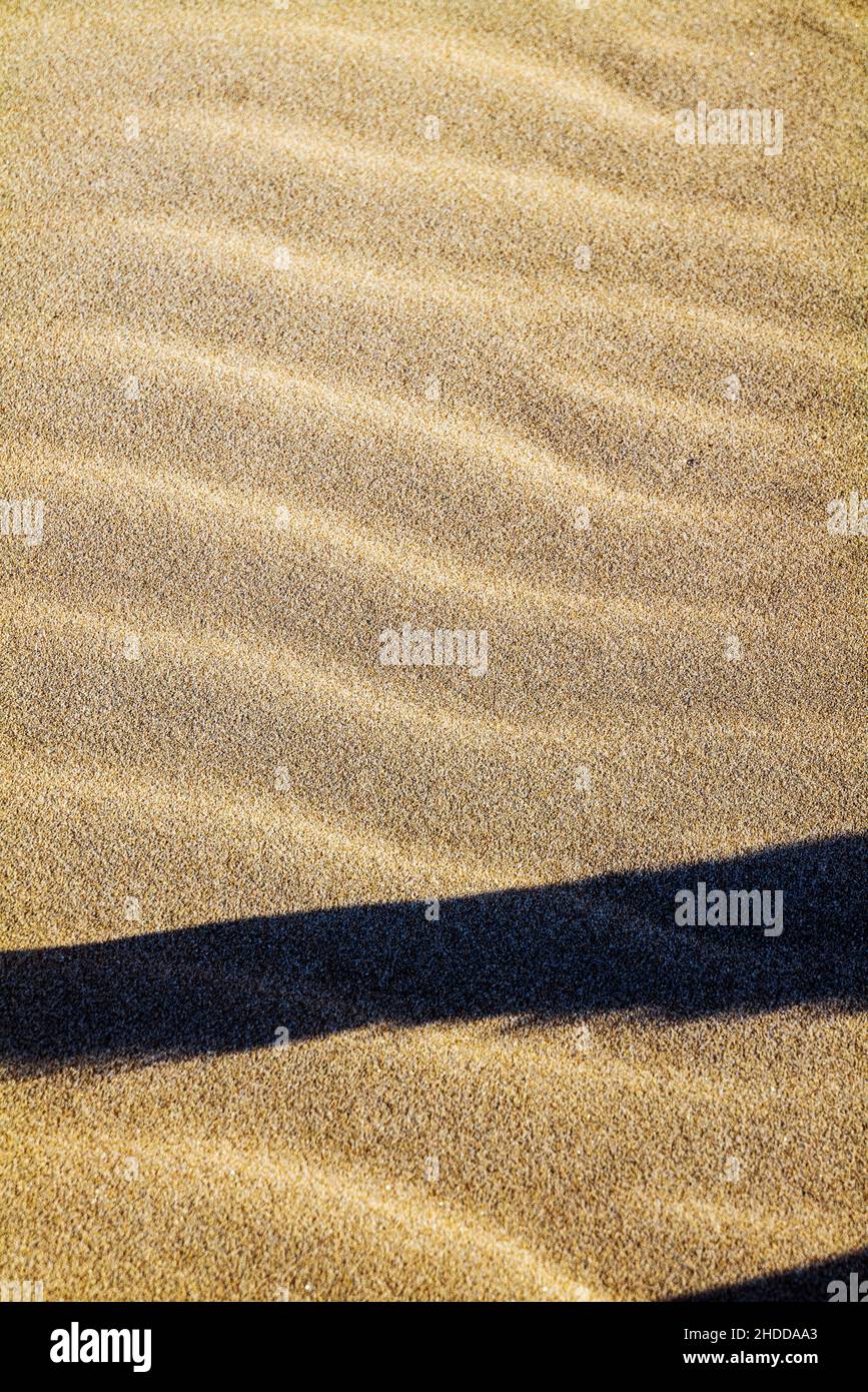 Gros plan des motifs sculptés par le vent dans le sable de la plage; Océan Pacifique; Newport; Oregon; États-Unis Banque D'Images