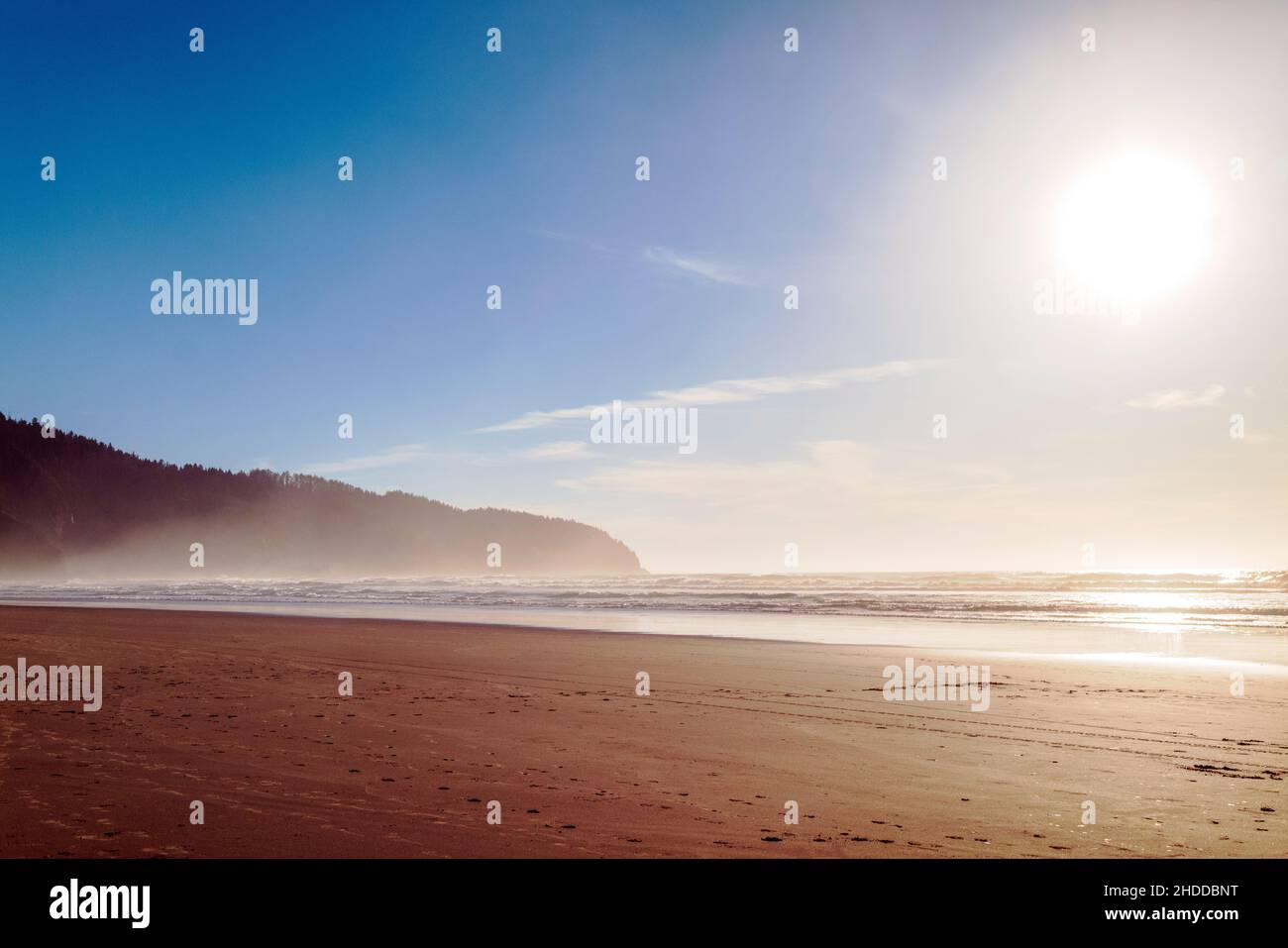 Plage; soleil; brume; parc national de Cape Lookout; océan Pacifique; côte de l'Oregon; près de Tillamook; Oregon;ÉTATS-UNIS Banque D'Images