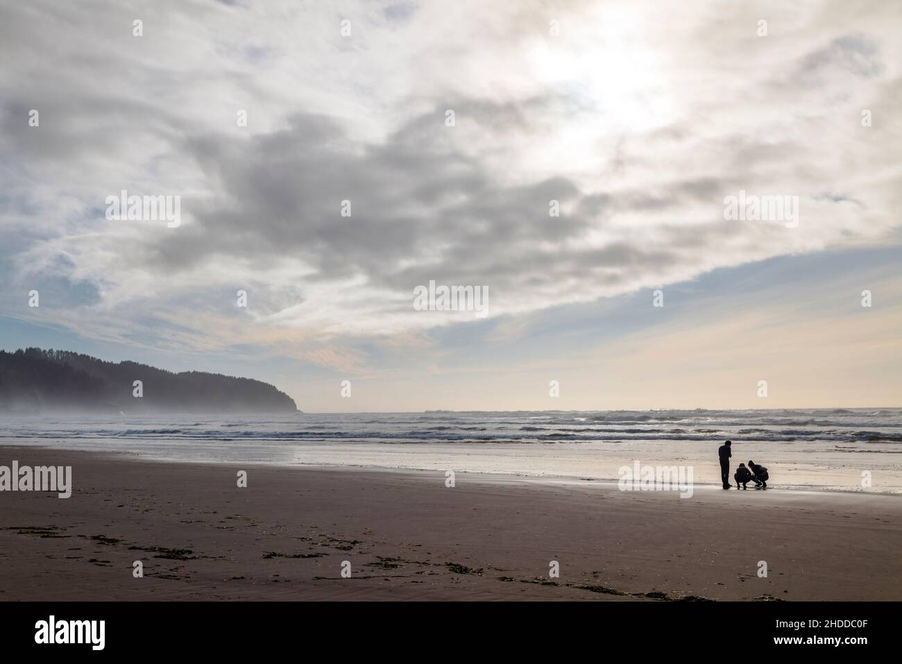 Visiteurs sur la plage ; Cape Lookout State Park ; Océan Pacifique ; côte de l'Oregon ; Etats-Unis Banque D'Images