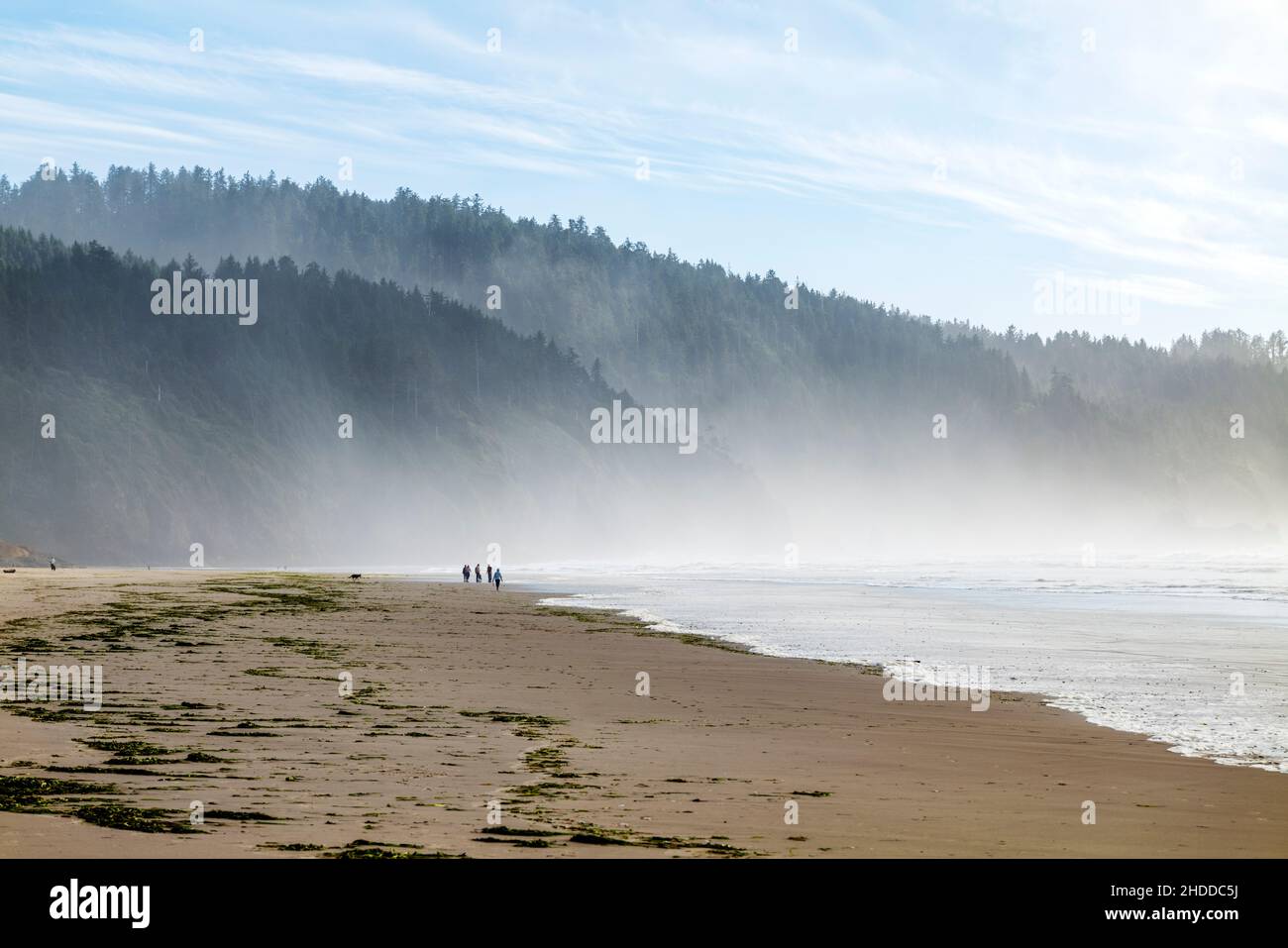 Visiteurs sur la plage ; Cape Lookout State Park ; Océan Pacifique ; côte de l'Oregon ; Etats-Unis Banque D'Images