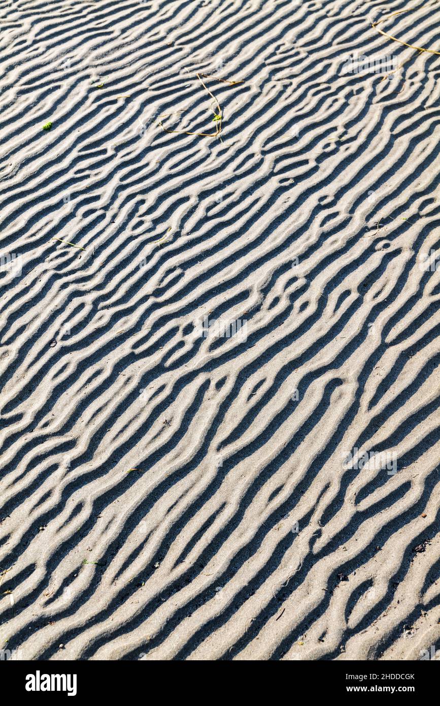 Gros plan des motifs sculptés par le vent dans le sable; parc national de fort Stevens; océan Pacifique; côte de l'Oregon; États-Unis Banque D'Images