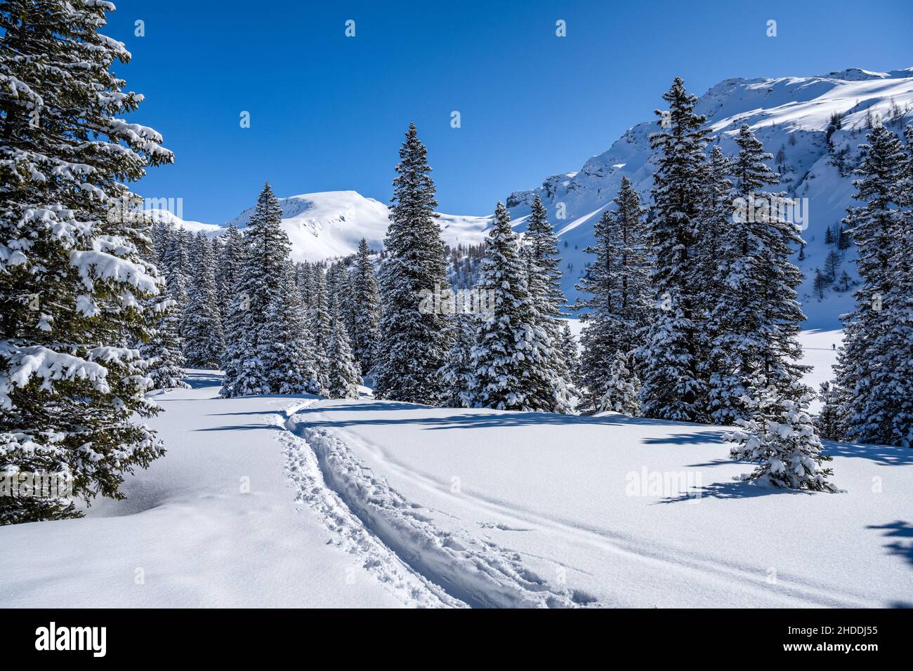 Piste de ski dans le paysage alpin enneigé, Rauris, Salzburger Land, Autriche Banque D'Images