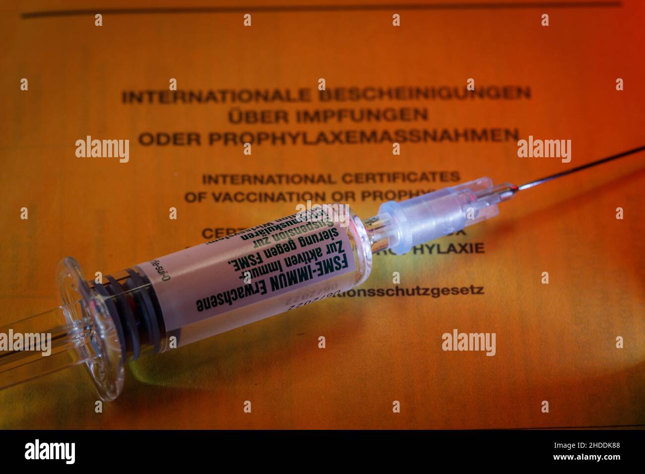 une carte de vaccination internationale avec une seringue contre l'encéphalite du début de l'été Banque D'Images une carte de vaccination internationale avec une seringue contre l'encéphalite du début de l'été Banque D'Images