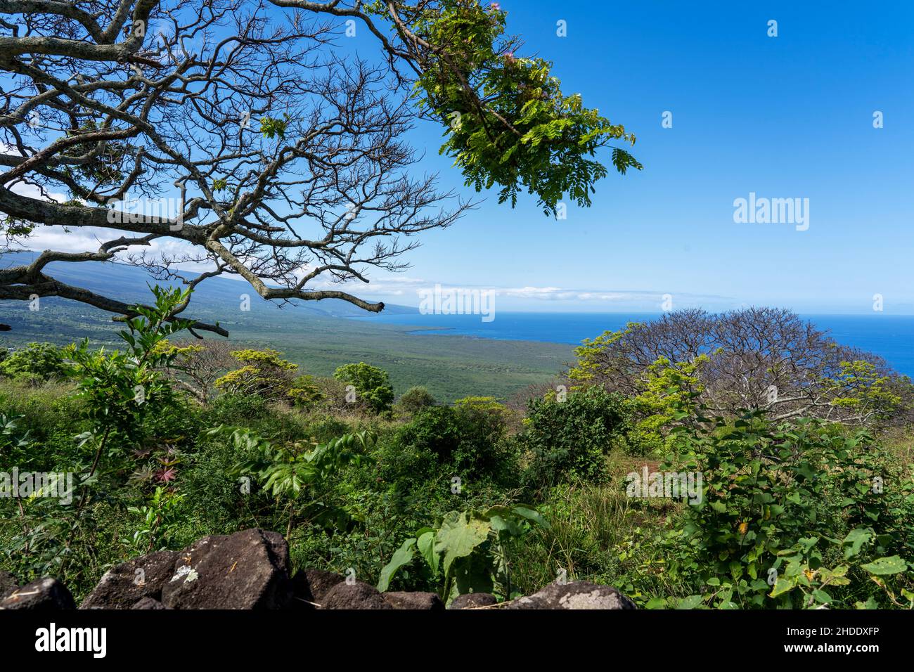 La vue de Big Island, Hawaï depuis le sommet de la colline Banque D'Images