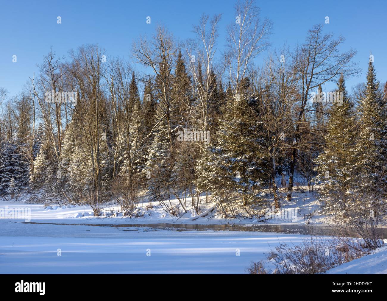 Voie navigable menant au lac Mud dans le nord du Wisconsin. Banque D'Images