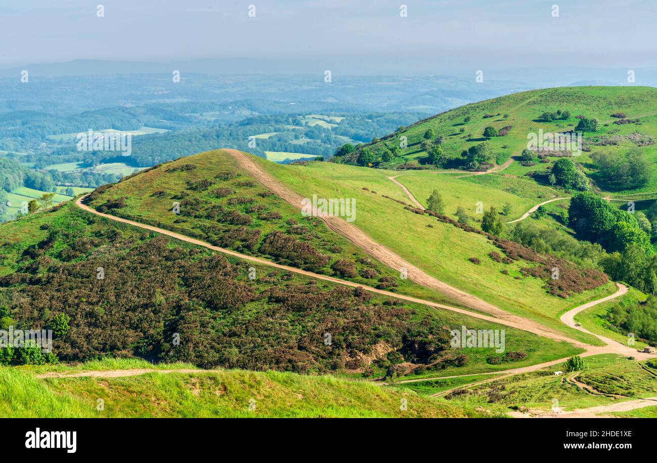 Sugarloaf et Table Hills, couvertes d'herbe luxuriante et verdoyante et baignées dans la lumière du soleil d'été, les chemins publics se séparent et vent autour et au-dessus des sommets de la Banque D'Images