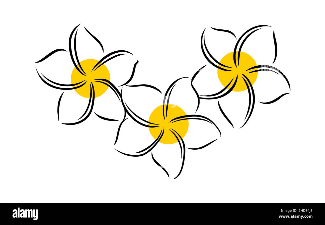 Frangipani ou plumeria fleurs exotiques d'été.Frangipani gravé isolé sur fond blanc.Illustration vectorielle Illustration de Vecteur