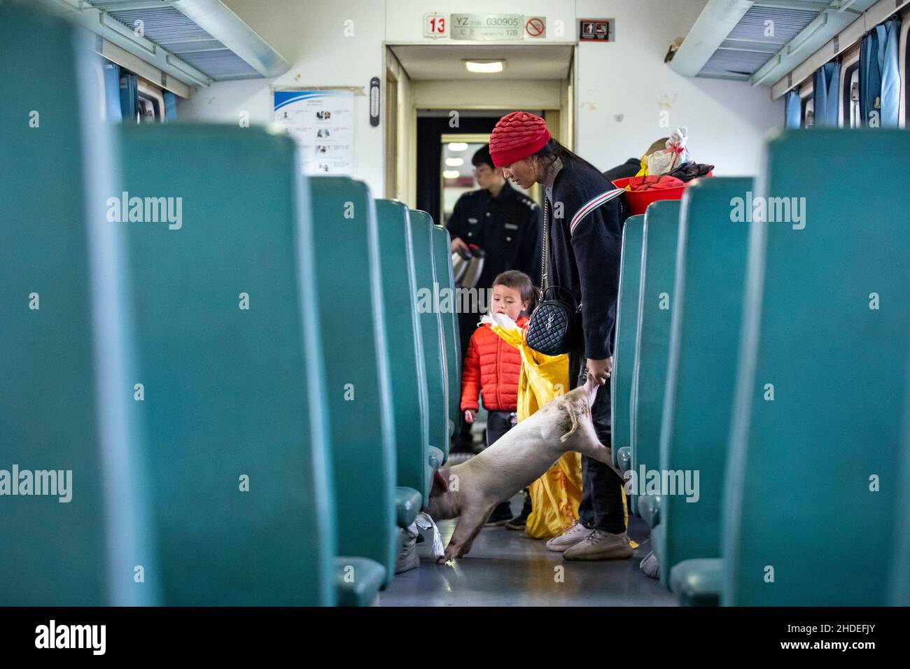 (220106) -- BEIJING, le 6 janvier 2022 (Xinhua) -- Un porcelet est vu sur le train no 5633 dans la province du Sichuan, dans le sud-ouest de la Chine, le 11 avril 2021.Les 5633/5634 trains, une paire de trains à vitesse lente, traversent encore les monts Daliang entre Puxiong et Panzhihua, dans la province du Sichuan.Avec une vitesse moyenne de moins de 40 km/h, le trajet avec 26 stations prend onze heures et quatre minutes.Les prix des billets varient de 2 yuan à 25,5 yuan (environ 0,3-3,9 dollars américains).Les trains à vitesse lente envoient les enfants dans leurs écoles, les malades dans les soins de santé et les habitants du pays dans le monde extérieur Banque D'Images