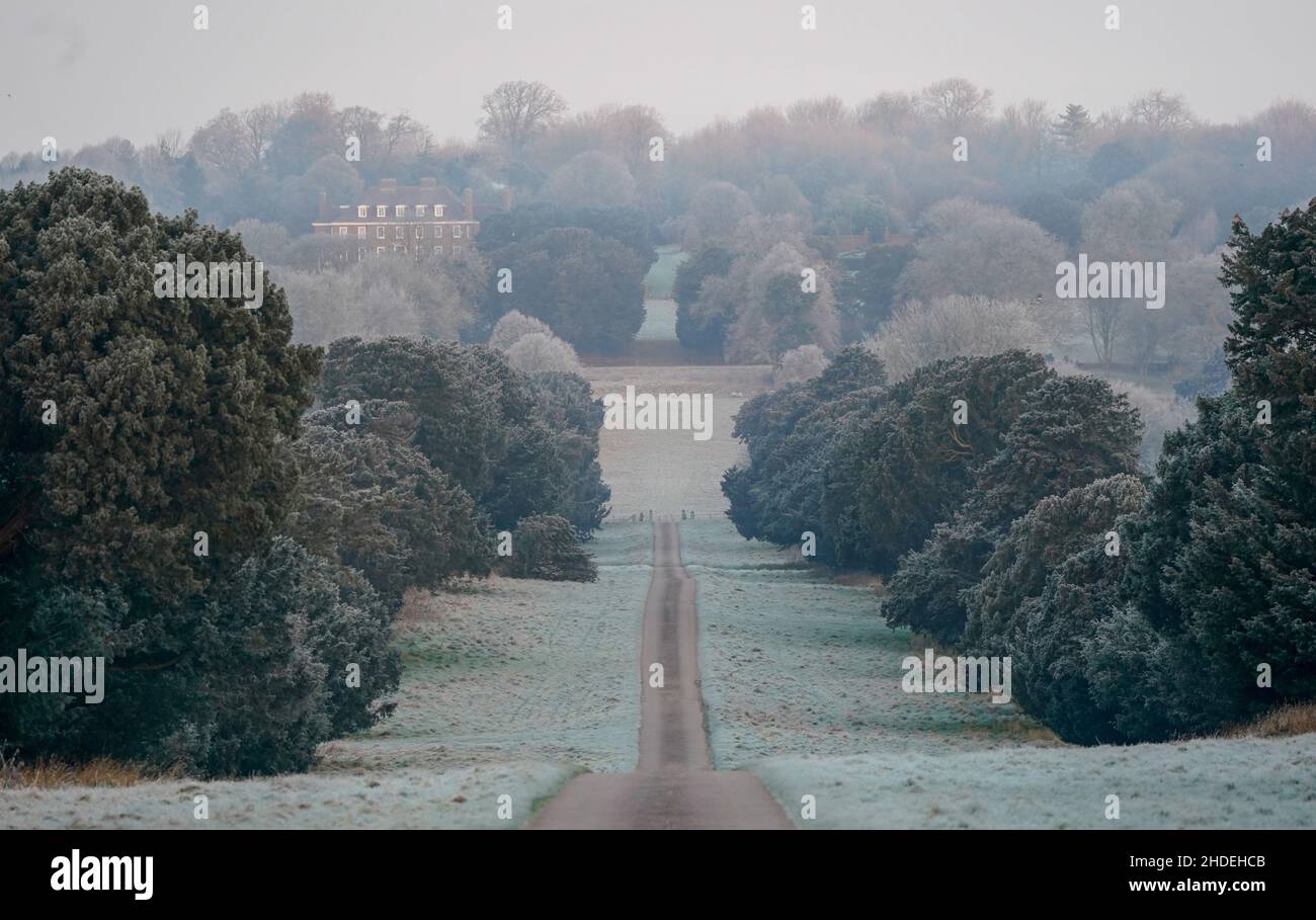 Un léger gel recouvre les arbres et le sol près de Preston Candover dans le Hampshire.Date de la photo: Jeudi 6 janvier 2022. Banque D'Images