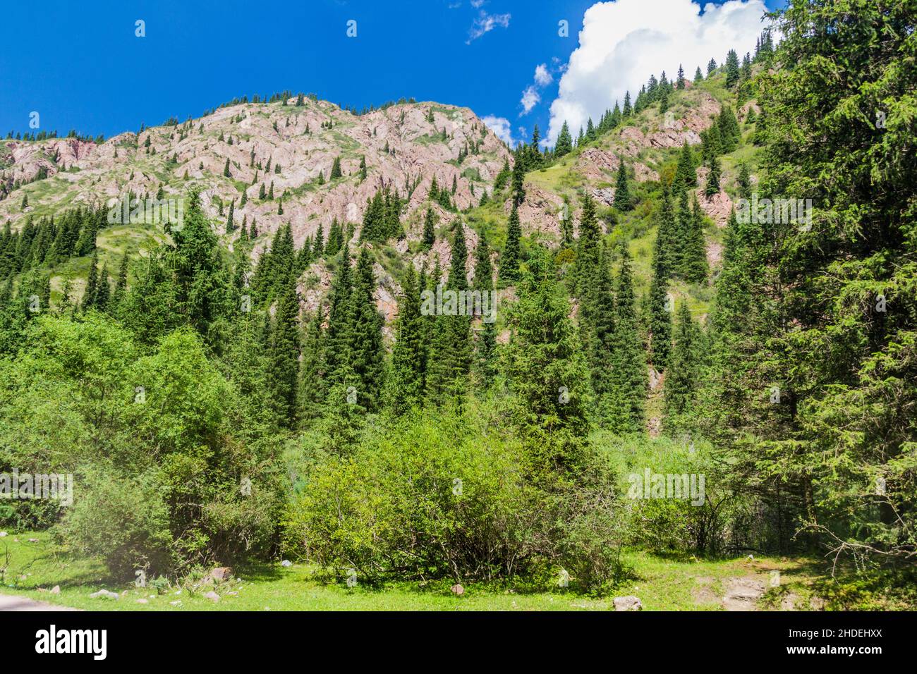 Rochers dans la vallée de Jeti Oguz, Kirghizistan Banque D'Images