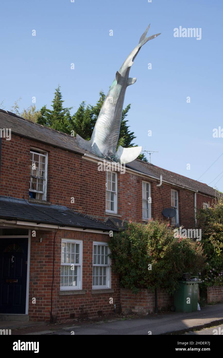 Le requin de Bill Heine dans une statue de toit à Headington, Oxford, au Royaume-Uni Banque D'Images
