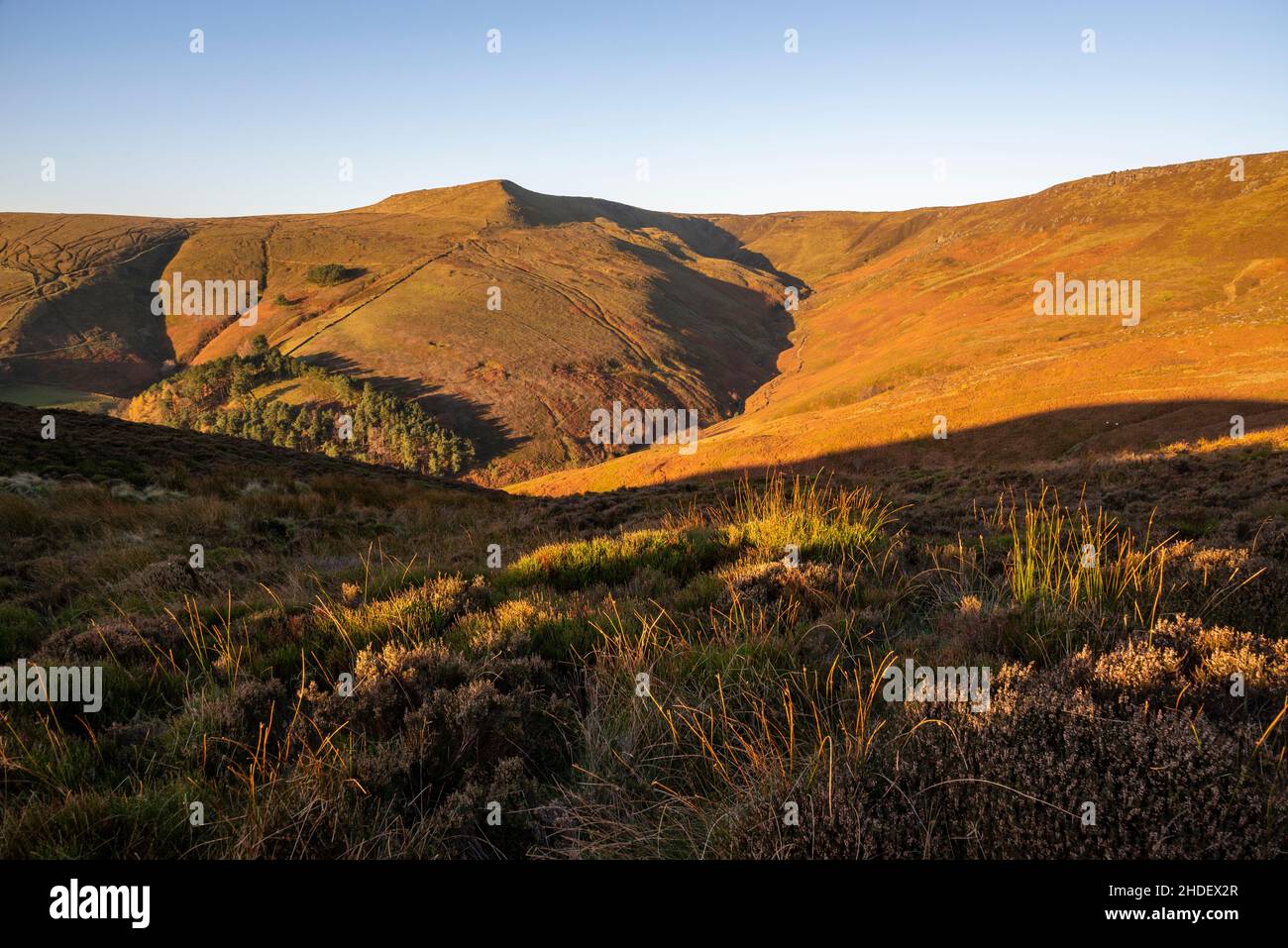 Grindsbrook Clough et Knoll à Edale, à la limite de Kinder Scout, dans le Peak District, dans le Derbyshire.Un matin ensoleillé de novembre. Banque D'Images