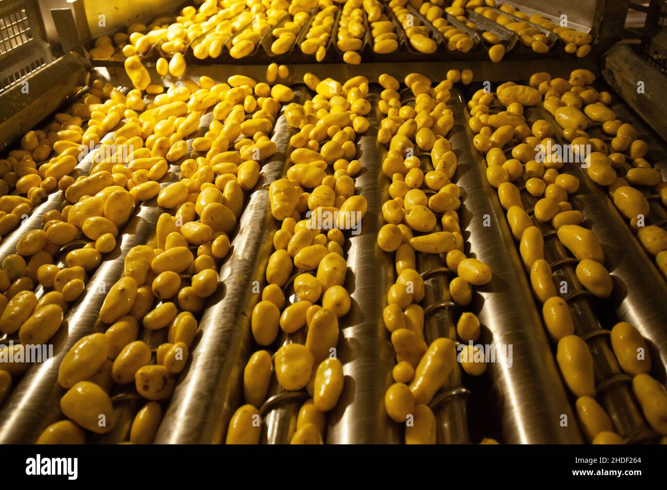 Intérieur d'usine.Production de puces.Équipement d'usine, processus de fabrication du produit.Photo de haute qualité Banque D'Images