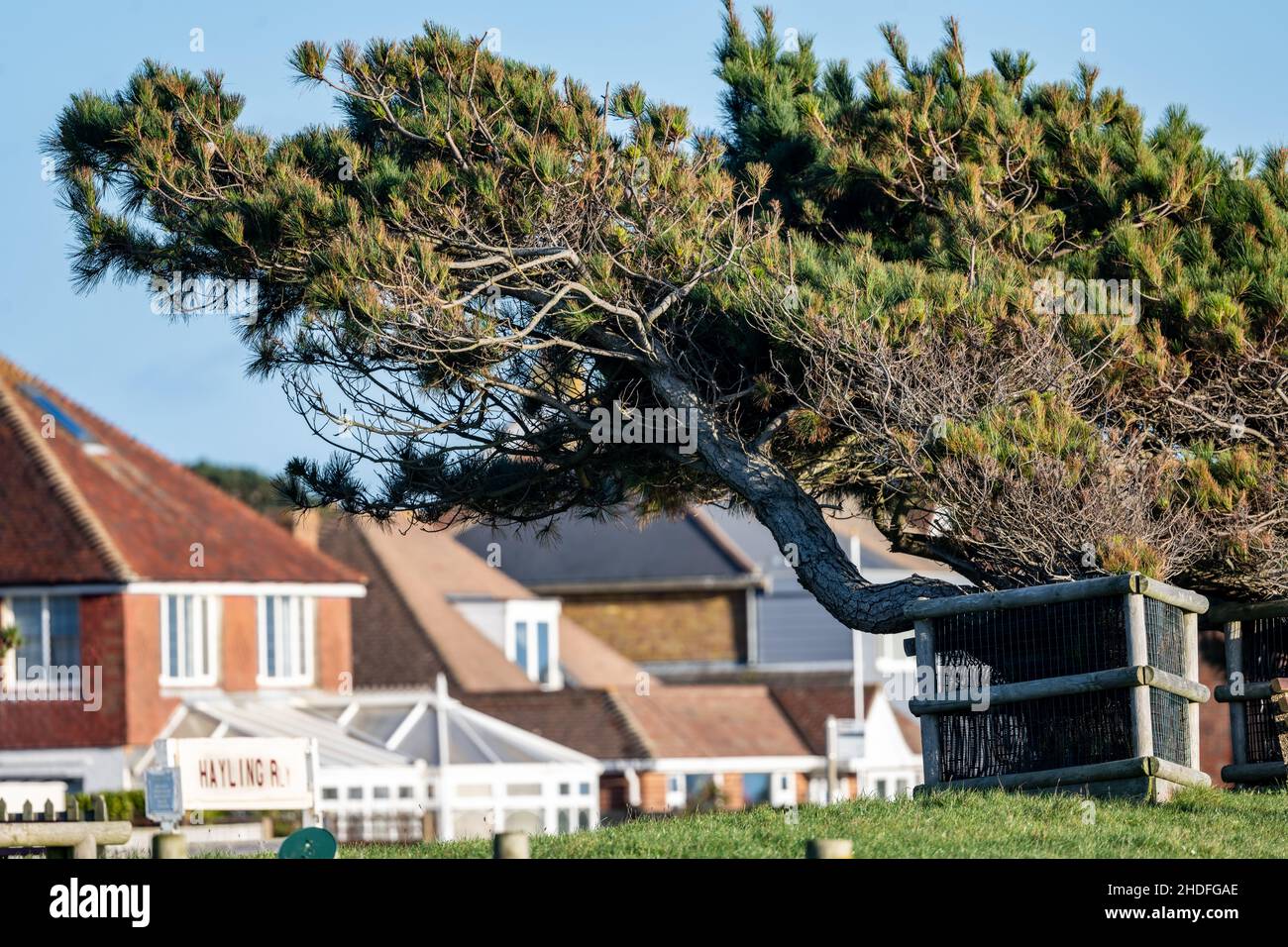 Hayling Island, Hampshire, Royaume-Uni Banque D'Images