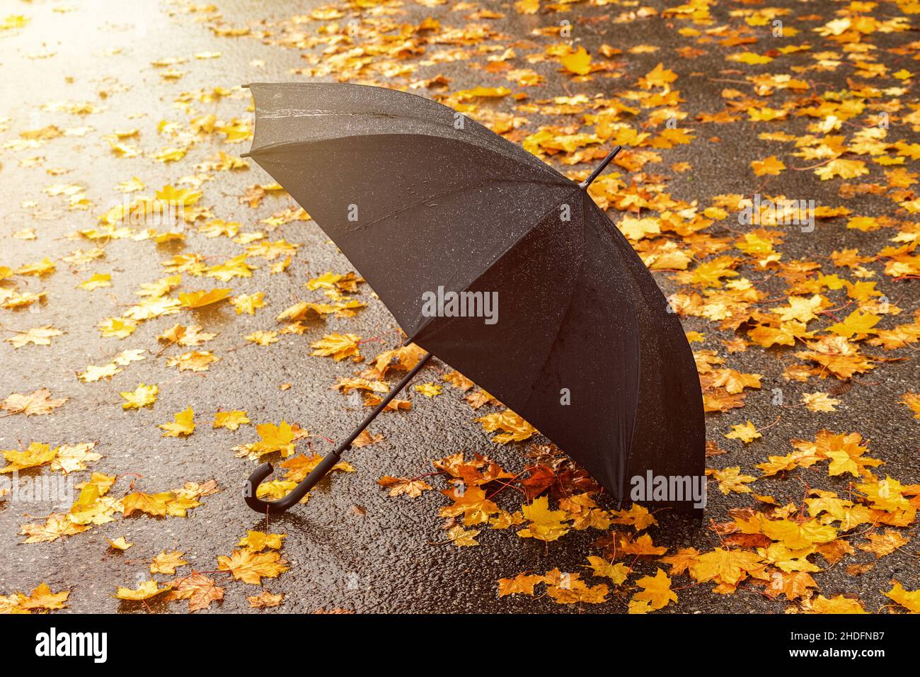 automne, feuilles, parapluie, pluvieux, automne,feuilles, parapluies,  pluie, pluie Photo Stock - Alamy